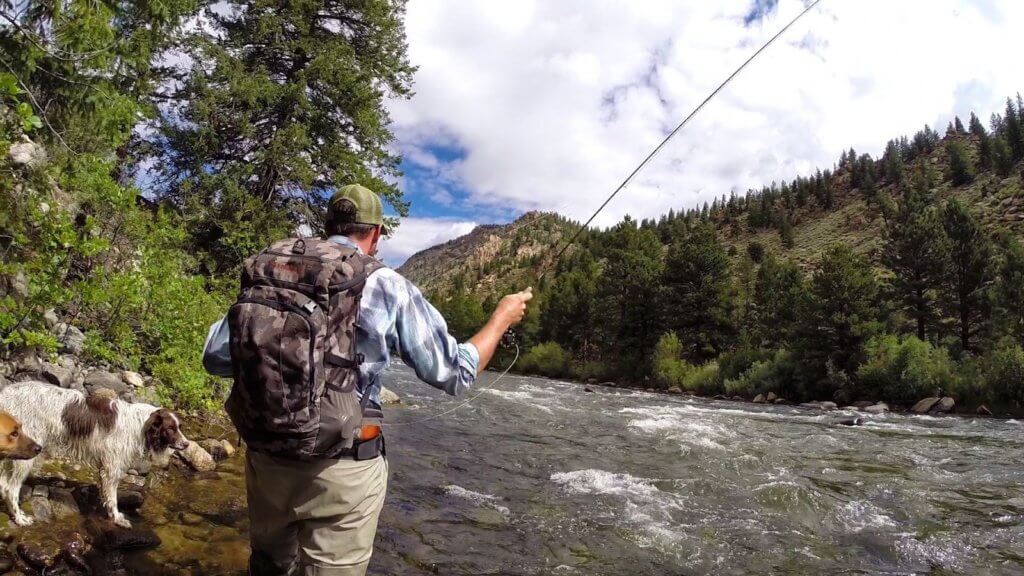 Fly Fishing Colorado