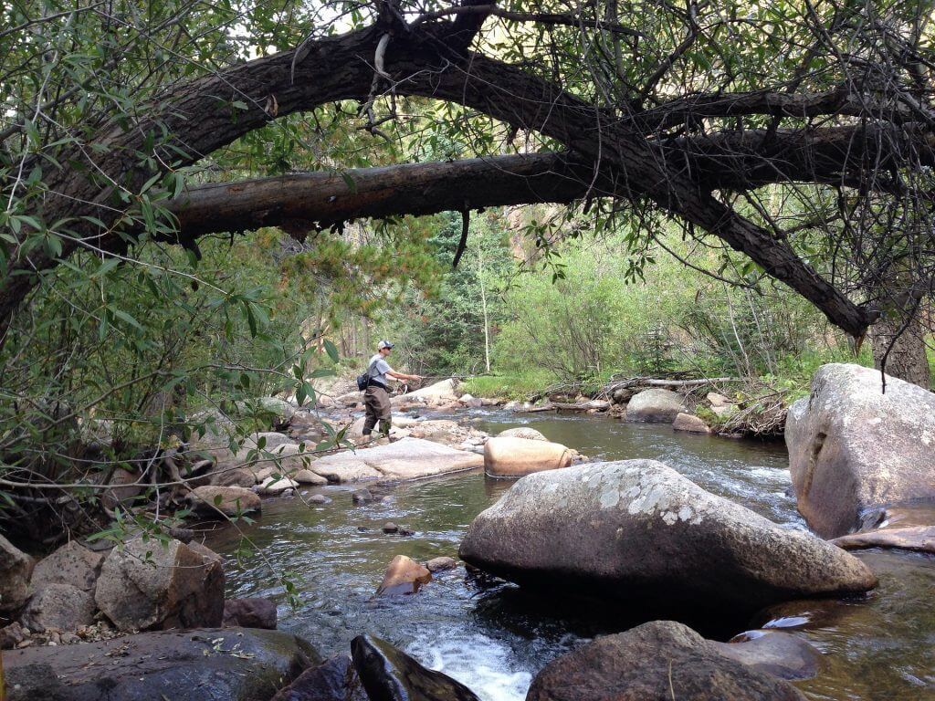 Fishing the Frying Pan River Above Basalt, Colorado Fly Fishing Colorado