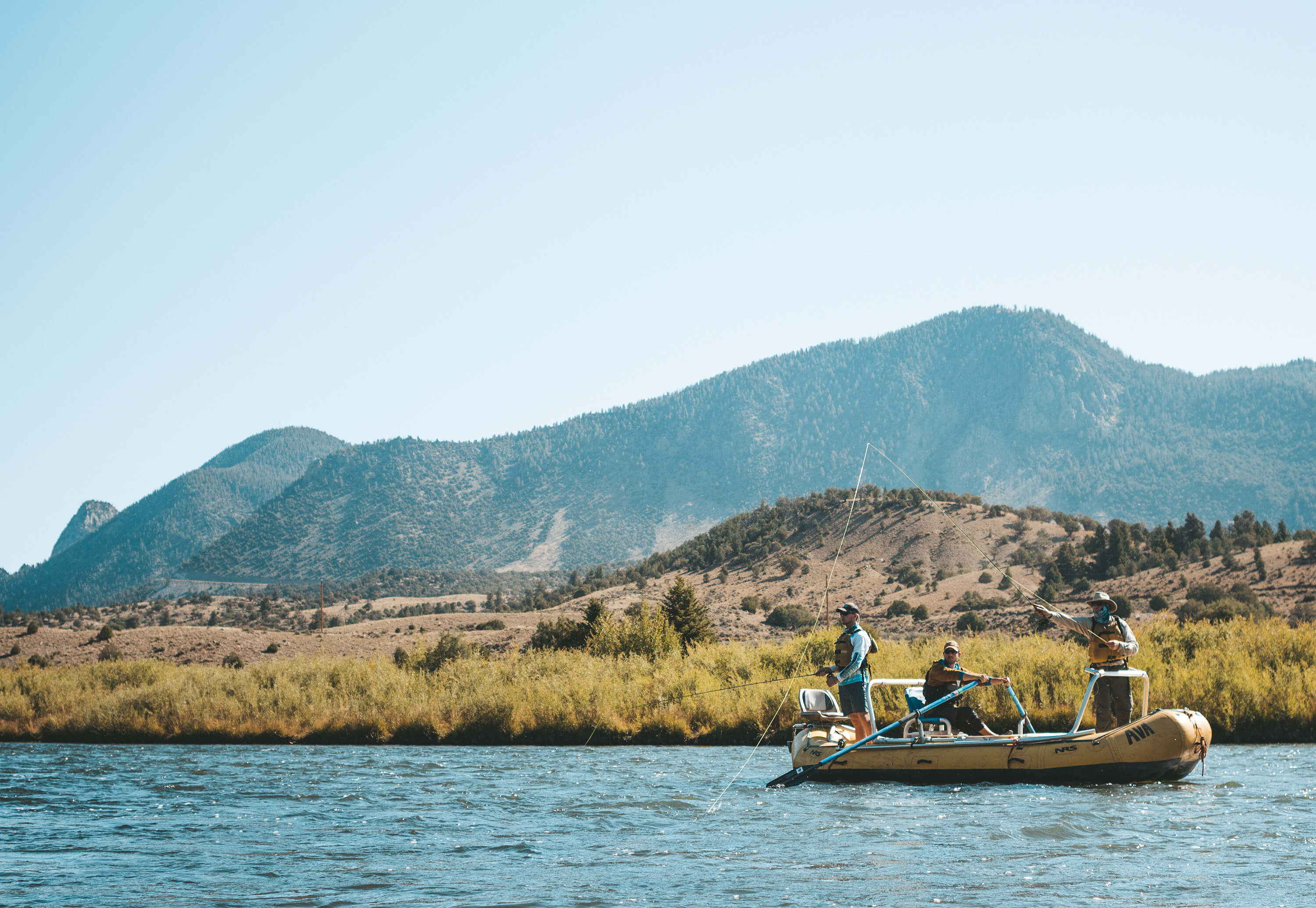 Guided Trips & Information from Fly Fishing Colorado