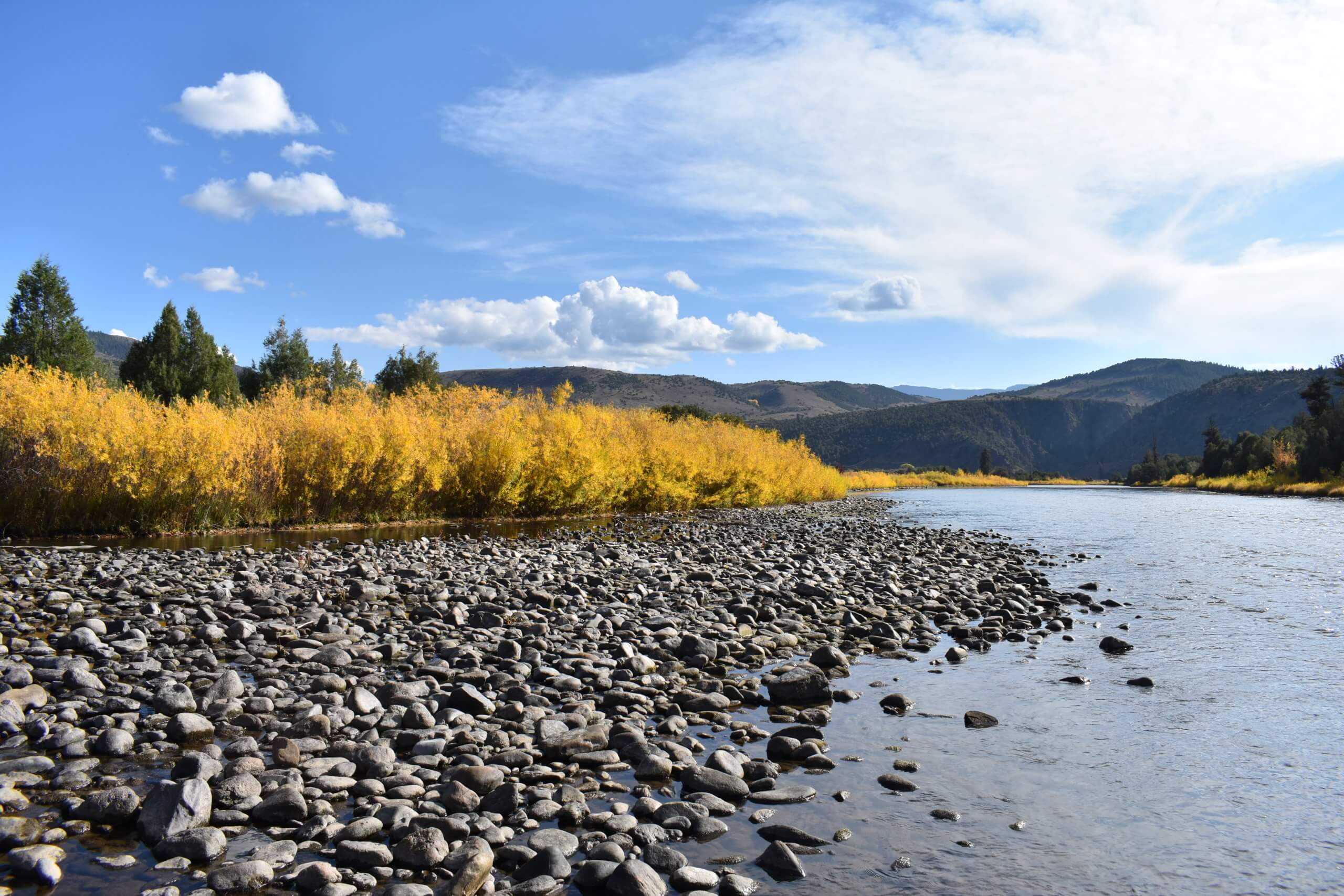 Upper Colorado river bank in the fall near Kremmling