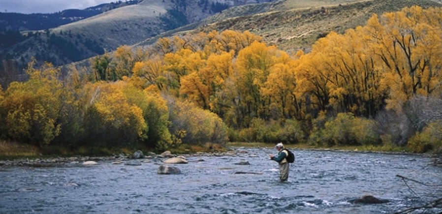fly fishing the blue river