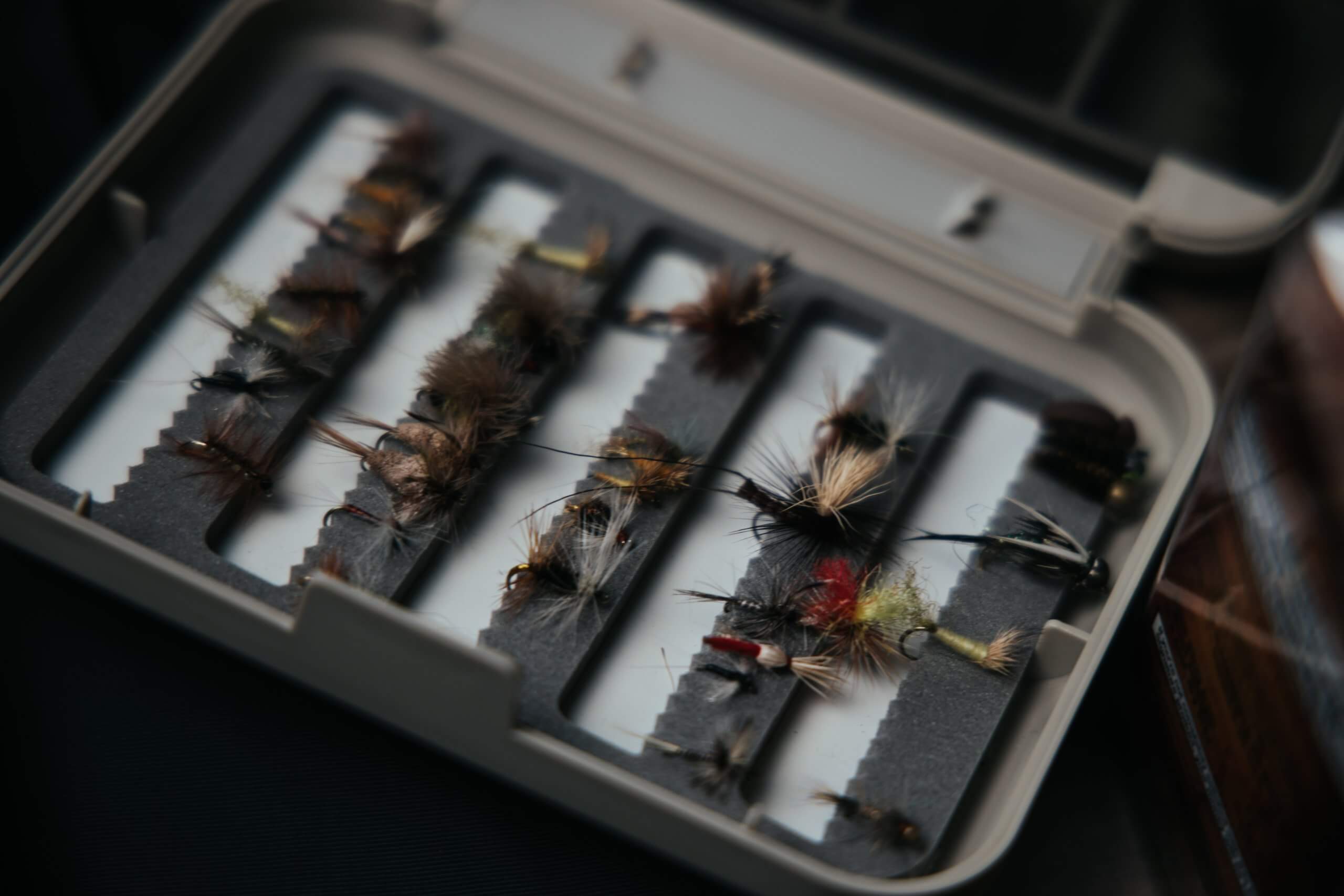 fly fishing flies in a box