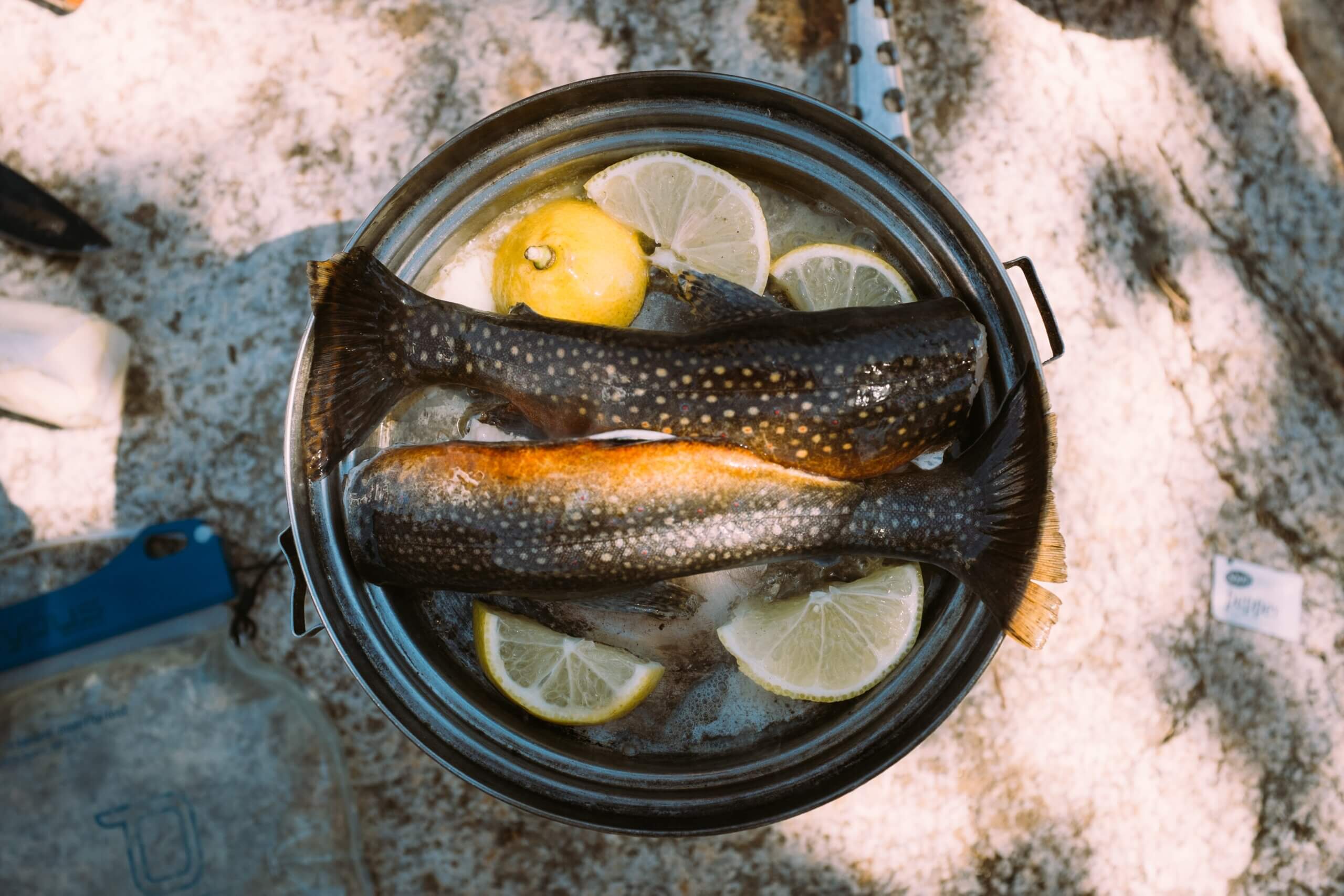 fish cooking in pan with lemon